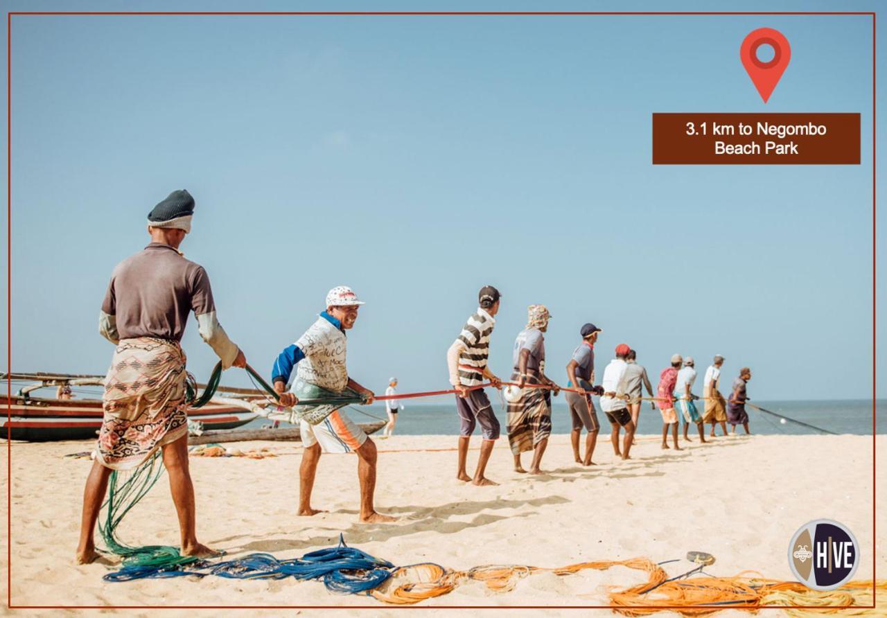 Hive 68 - Hotel And Resorts Negombo Exterior foto